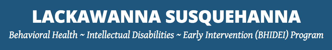 The Lackawanna-Susquehanna (L-S)  Behavioral Health Intellectual Disabilities Early Intervention (BHIDEI) Program